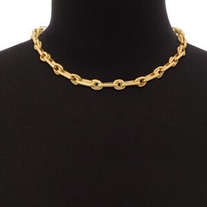 NWT $120 Passiana Smart Chain 17” Gold over Brass